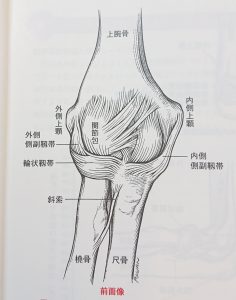 樟葉の外側上顆