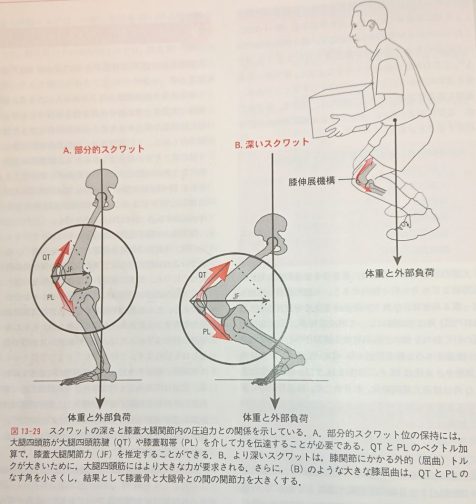 楠葉のなべそう整骨院でオスグッドの治療